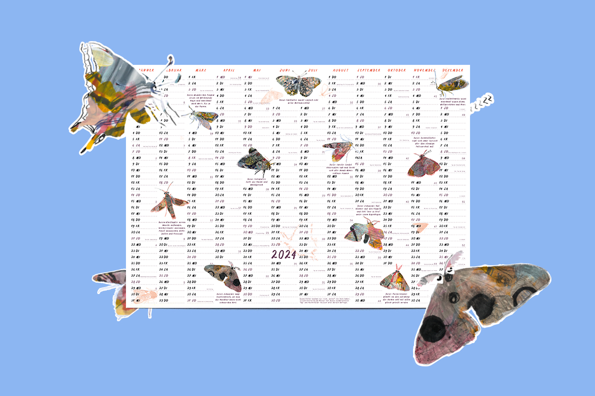 Kalender mit 11 Tag- und Nachtfaltern illustriert | Silke Müller Illustration